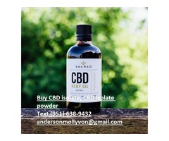 Pure CBD Isolate powder 99%.